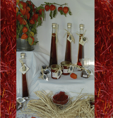 Produits pour site